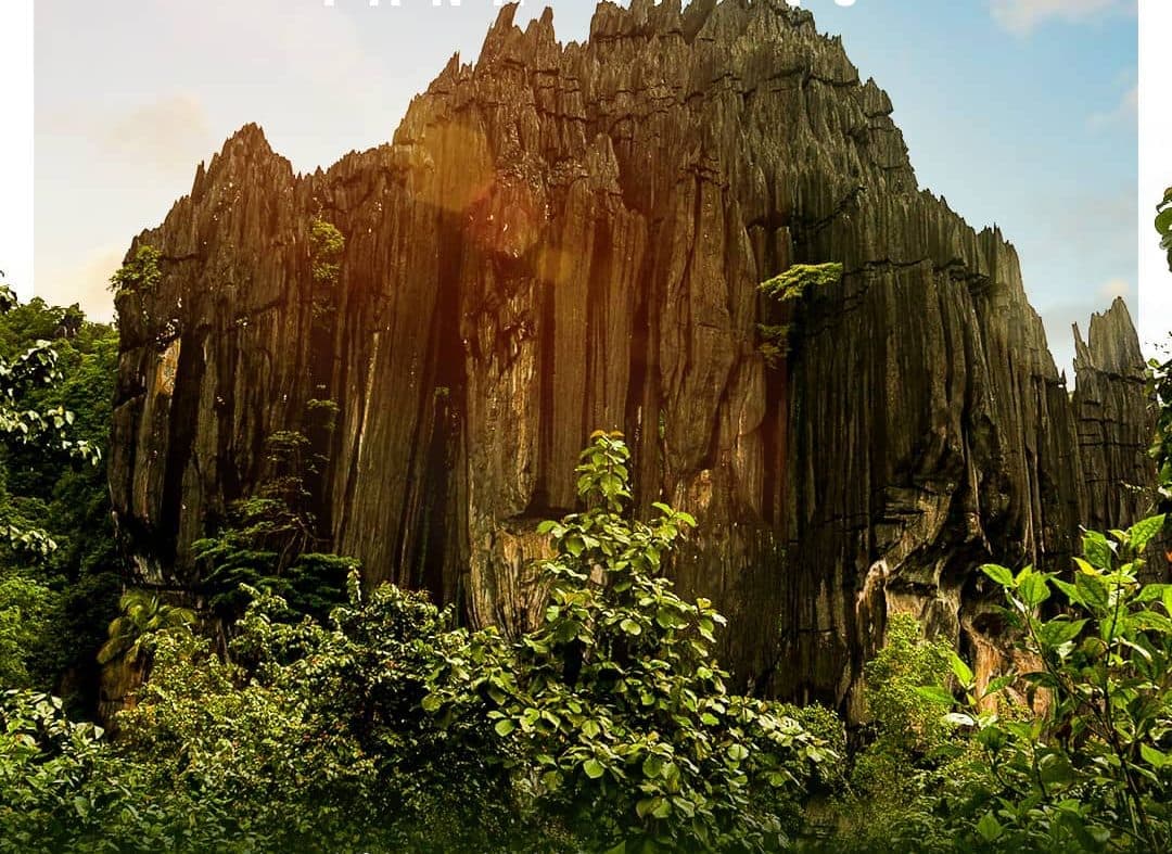 Yana rock formations — a dark jagged karst tower rising above forest in the Sahyadri foothills